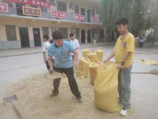 生态绿麦全麦面粉 商品图5