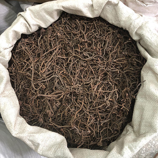 小红参 云南地方草药 云南野生小红参 非传统红参 商品图2