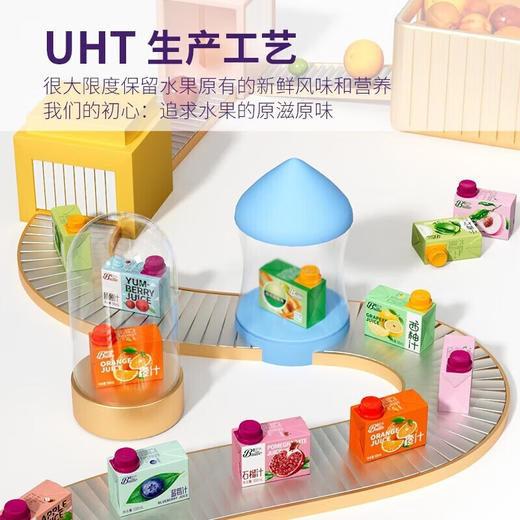 碧林西梅果汁饮料100ml (Z) 商品图2