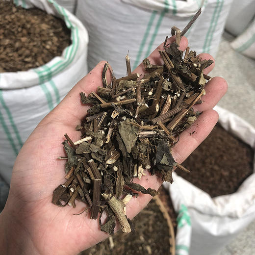 佩兰 当季新货 生晒中药材 商品图4