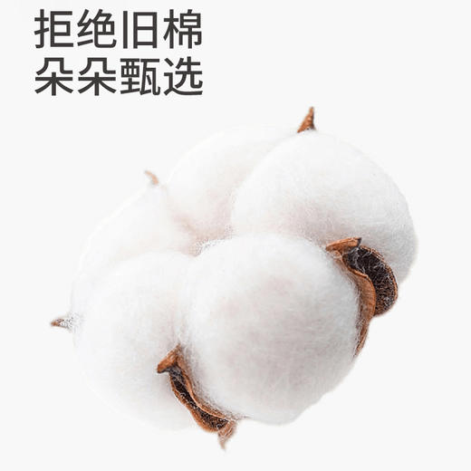 【69元1套】春夏女士短裤套头套装家居服-6242239 商品图4