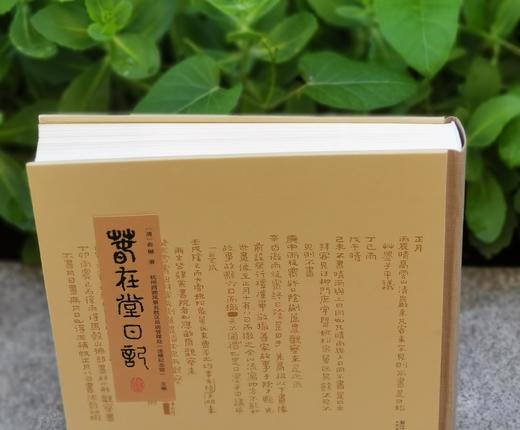 限量毛边本！！《春在堂日记》，12开精装函套，俞樾著，浙江摄影出版社2024年4月一版一印，366页，定价380，毛边本售价323元，普通版售价：285 商品图3