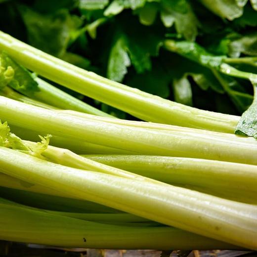 龙门山芹菜 约300g/袋（新鲜） 商品图2