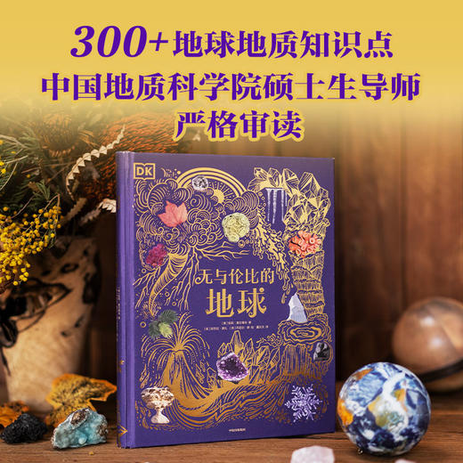 DK无与伦比的地球（精装1册） 商品图0