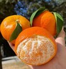 苍穹无核蜜柑，果味浓郁，水分超级足，爆汁，细腻无渣，几乎纯甜，无核 商品缩略图1