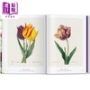 【中商原版】Redouté Book of Flowers 进口艺术 雷杜德 花之书 40周年纪念版 植物花卉手绘插画作品集 商品缩略图4
