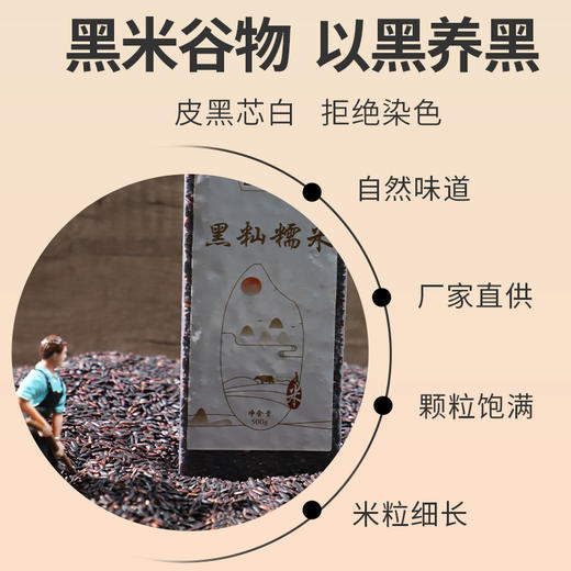【买二送一 实发3袋】周大黑黑籼糯米500克袋装*2 软糯适口 清香甘甜 商品图1