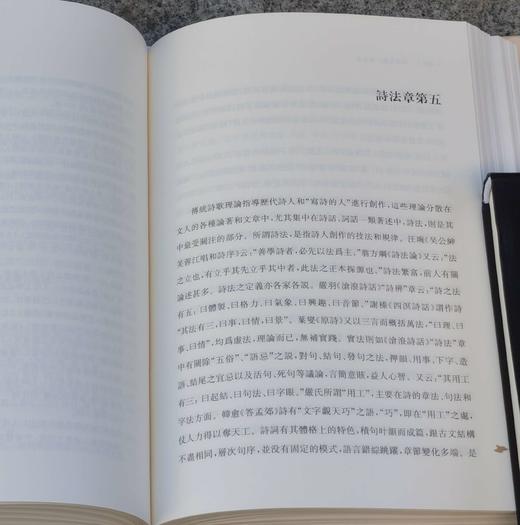 《诗注要义》，精装，上下两册，陈永正著，上海古籍2018年版，2019年二印，定价148，售价69 商品图12