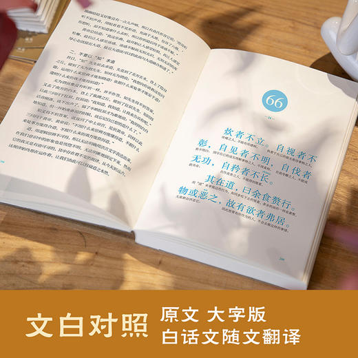 道德经（帛书版·全注全译全解。马王堆帛书底本，原文超大字十随文白话翻译十逐篇逐句解析，轻松读懂原貌道德经）([春秋]老子 著) 商品图2