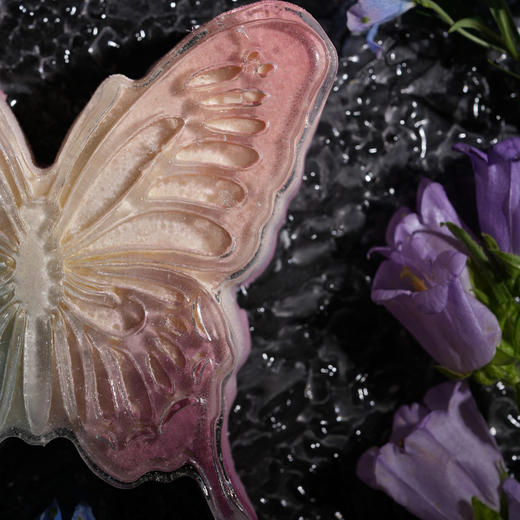 霓虹仙子 商品图3