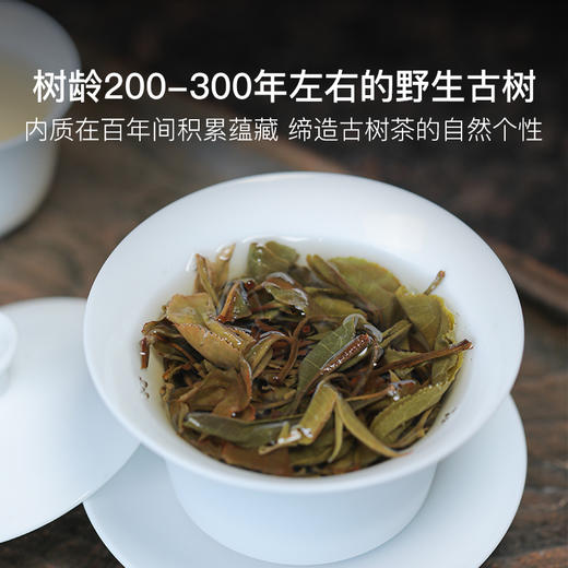 稀雀 云南兰香古树普洱生茶50g 商品图3