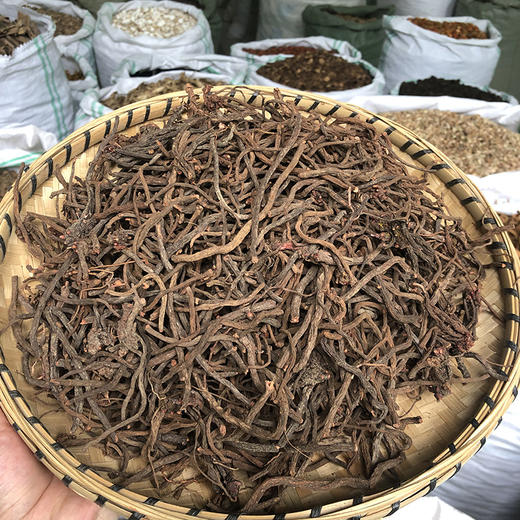 小红参 云南地方草药 云南野生小红参 非传统红参 商品图3