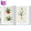 【中商原版】Redouté Book of Flowers 进口艺术 雷杜德 花之书 40周年纪念版 植物花卉手绘插画作品集 商品缩略图2