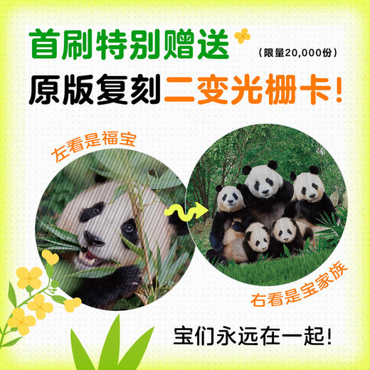 【磨铁】福宝，永远爱你  韩国爱宝乐园, [韩]姜哲远,[韩]柳汀勋著 商品图3