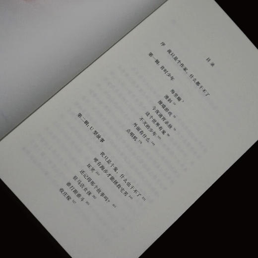 今夜通宵杀敌（第四届钟山之星年度作家，《驻马店伤心故事集》后，驻马店青年郑在欢又来啦！） 商品图2