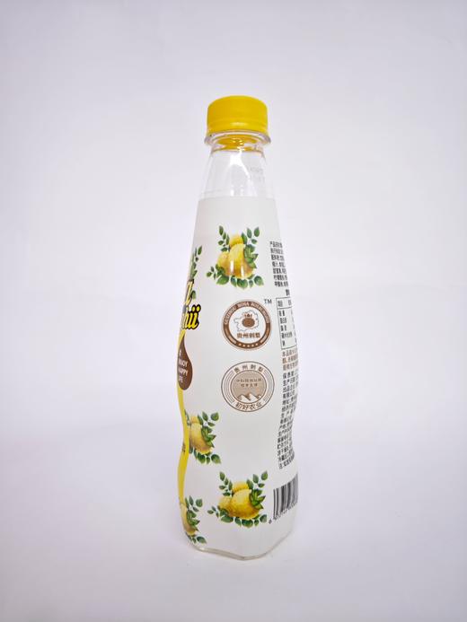 D初好刺梨气泡饮料（华铁版）380ml/瓶 商品图4