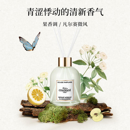 珂蒂丝法国寻香系列室内拓香香薰摆件 商品图3