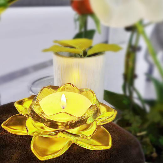 【华中】典草纲目2盏莲花 商品图2