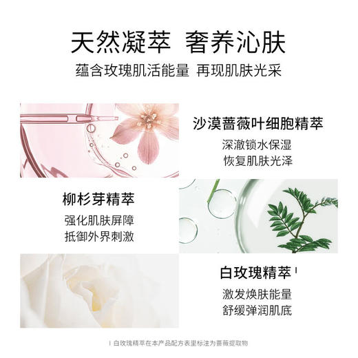 珂蒂丝奢养焕颜面膜100ml（限时加赠-瑰蜜水50ml*1） 商品图3