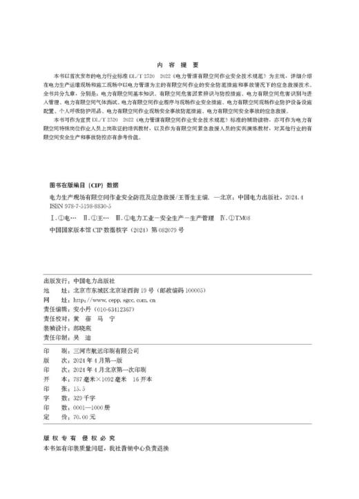 电力生产现场有限空间作业安全防范及应急救援 商品图2