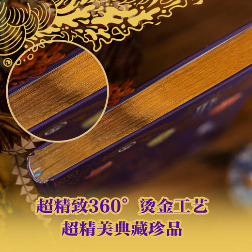 DK无与伦比的地球（精装1册） 商品图5