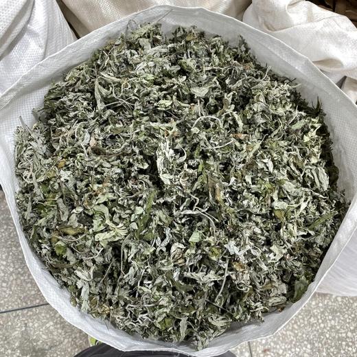 艾叶   艾草 商品图4