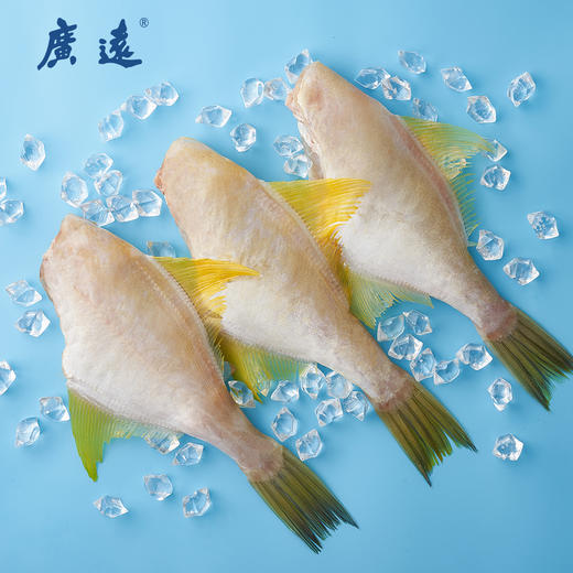 D广远黄金马面鱼275g 商品图1