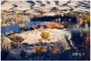 大美新疆——金秋南疆风情、沙漠胡杨超级大环线18天摄影创作团 商品缩略图8