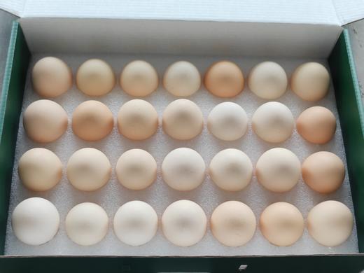 一分地生态鸡蛋礼盒 商品图2