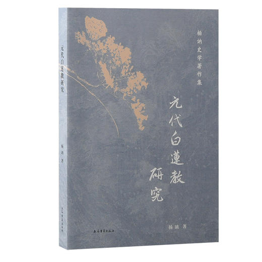 元代白莲教研究 商品图0