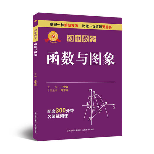 正版  专项突破·初中数学 函数与图象  王中峰主编 商品图0