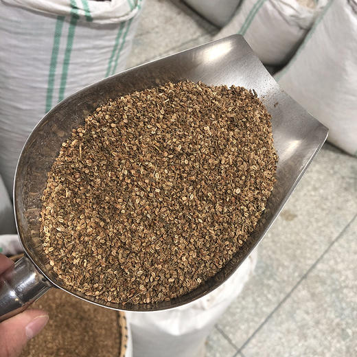 蛇床子 过筛灰少 干净新货 商品图3