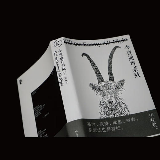 今夜通宵杀敌（第四届钟山之星年度作家，《驻马店伤心故事集》后，驻马店青年郑在欢又来啦！） 商品图1
