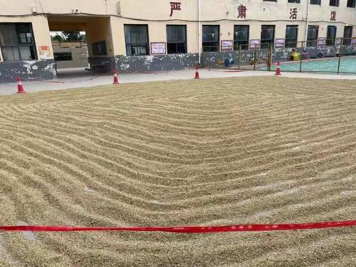 生态绿麦全麦面粉 商品图3