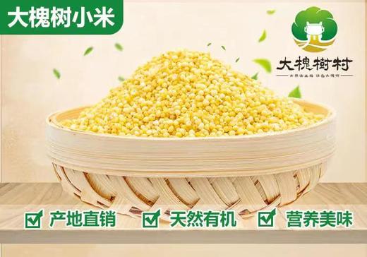 【私人银行】 小米500g*5袋 商品图0