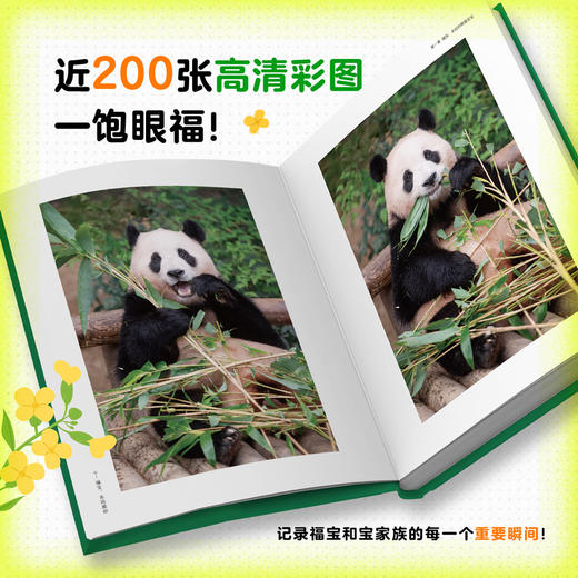 【磨铁】福宝，永远爱你  韩国爱宝乐园, [韩]姜哲远,[韩]柳汀勋著 商品图2