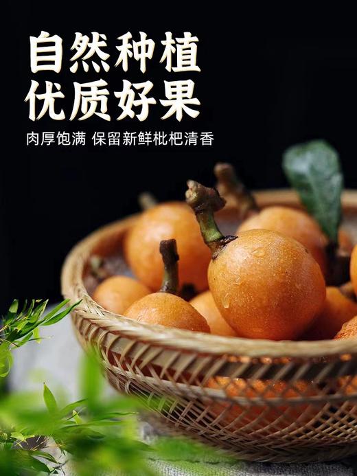 绿度山庄枇杷干6袋家庭装 商品图2