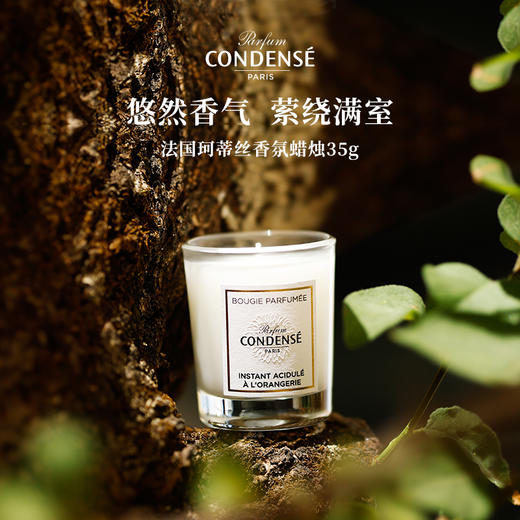 珂蒂丝法国巴黎寻香系列持久拓香香氛蜡烛 商品图3