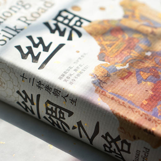 丝绸之路：十二种唐朝人生（英）魏泓 著 商品图6