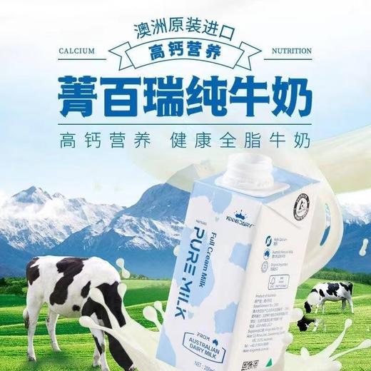 澳洲原装进口菁百瑞（Kinns Dairy)优质蛋白营养高钙纯牛奶（最新生产日期！！！） 商品图9
