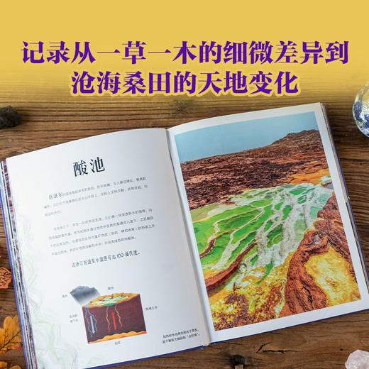 DK无与伦比的地球（精装1册） 商品图4