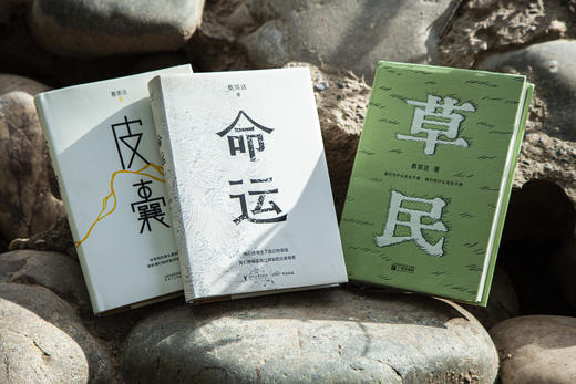 蔡崇达作品集《故乡三部曲》三册 商品图3