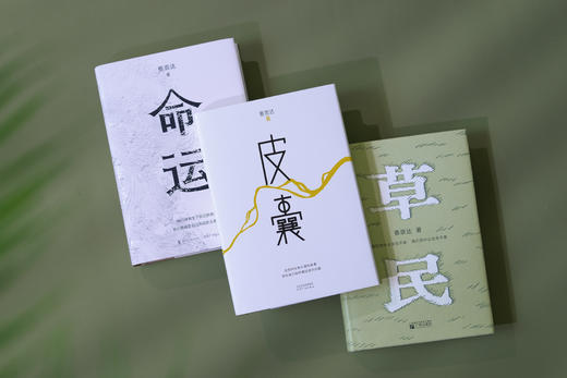 蔡崇达作品集《故乡三部曲》三册 商品图1