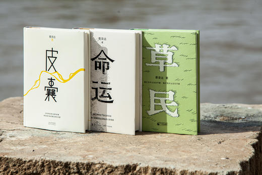 蔡崇达作品集《故乡三部曲》三册 商品图2