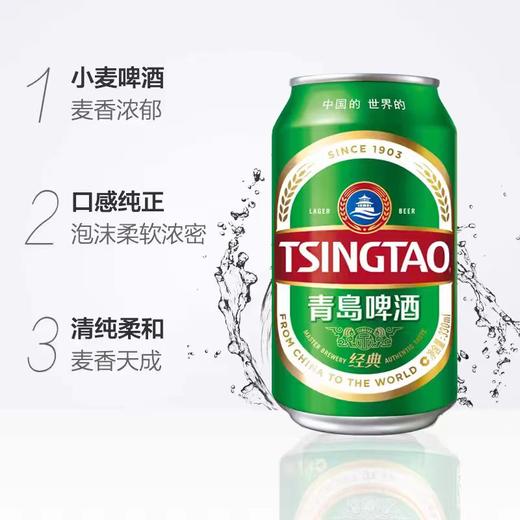 青岛经典听装330ml*24 商品图1