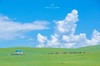 【纵情内蒙古】呼伦贝尔+阿尔山秘境8天摄影 | 来自天上的大草原 才是你梦中的那片海 商品缩略图10