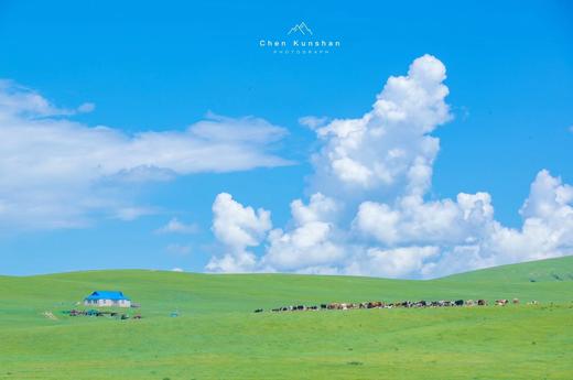 【纵情内蒙古】呼伦贝尔+阿尔山秘境8天摄影 | 来自天上的大草原 才是你梦中的那片海 商品图10