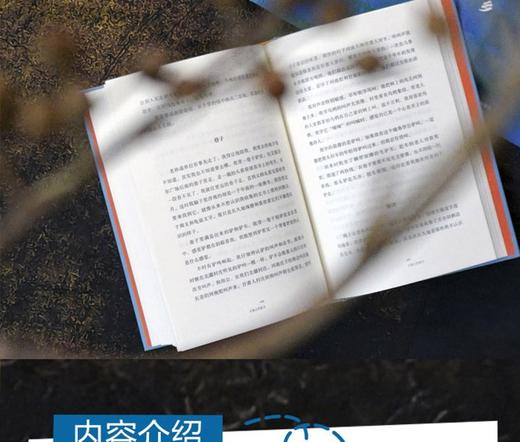 大地上的家乡   2024年百班千人暑期书目8年级|祖庆说名师推荐正版课外阅读现货速发 商品图5