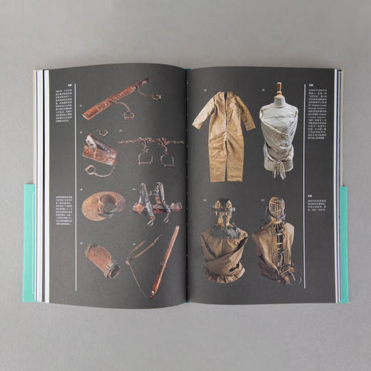 见证疯狂：精神病院的前世今生（英）迈克·杰伊 著 商品图6