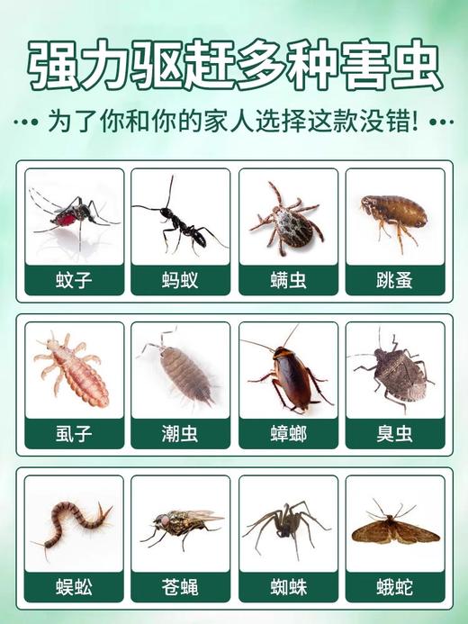 【拍1发4 赶走蚊子的神器香茅搞定！】不点火不插电！！ 家用室内无毒香茅膏 蚊虫凝胶 蚊子克星-LC17XP07 商品图2